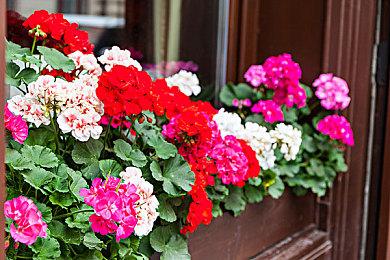 《暗黑4》粉丝请求暴雪保留游戏难度 总监确认不会削弱