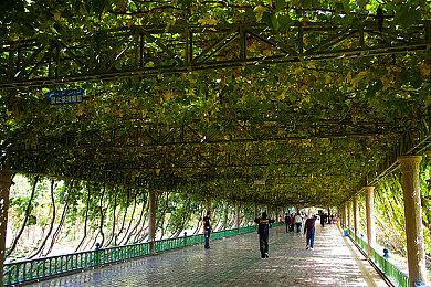 老外这下高兴了！国产热游《鬼谷八荒》新增英语选项